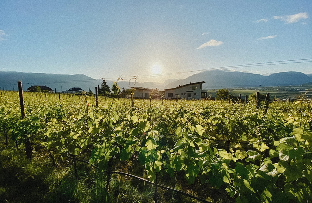 Blog_Klaus_Lentsch_3_(1)