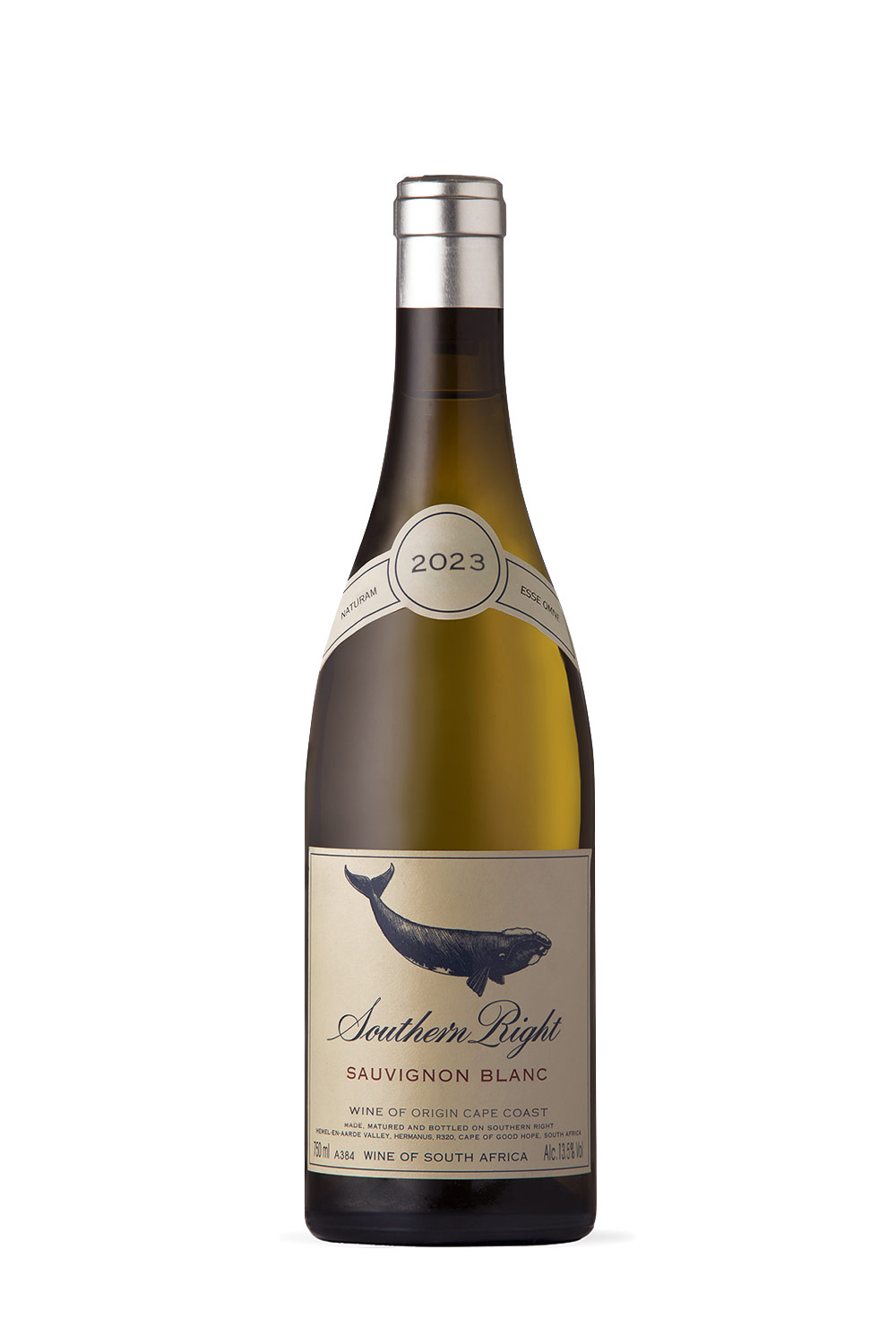 Hamilton Russel Southern Right Sauvignon Blanc 2024