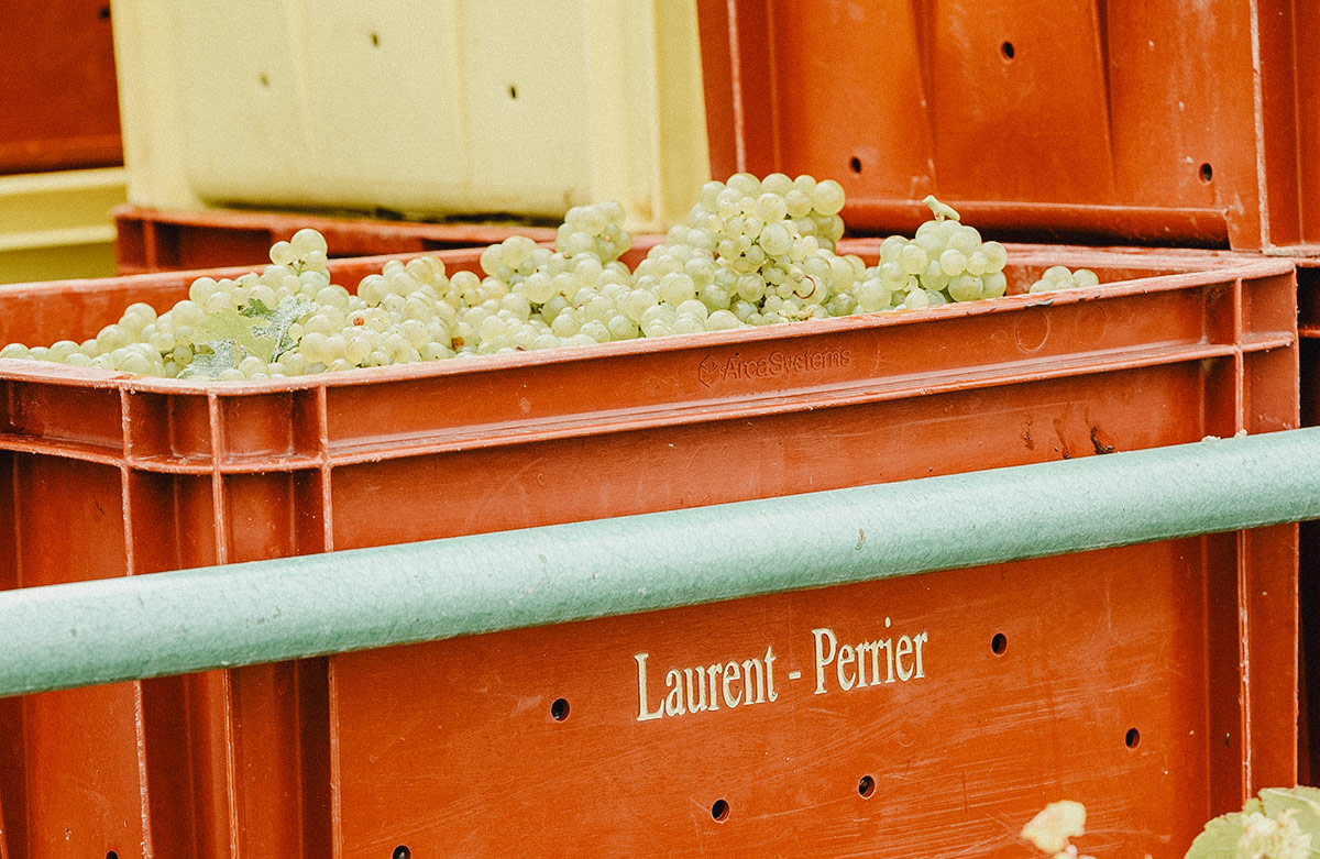 Blog_Laurent_Pierrer_4