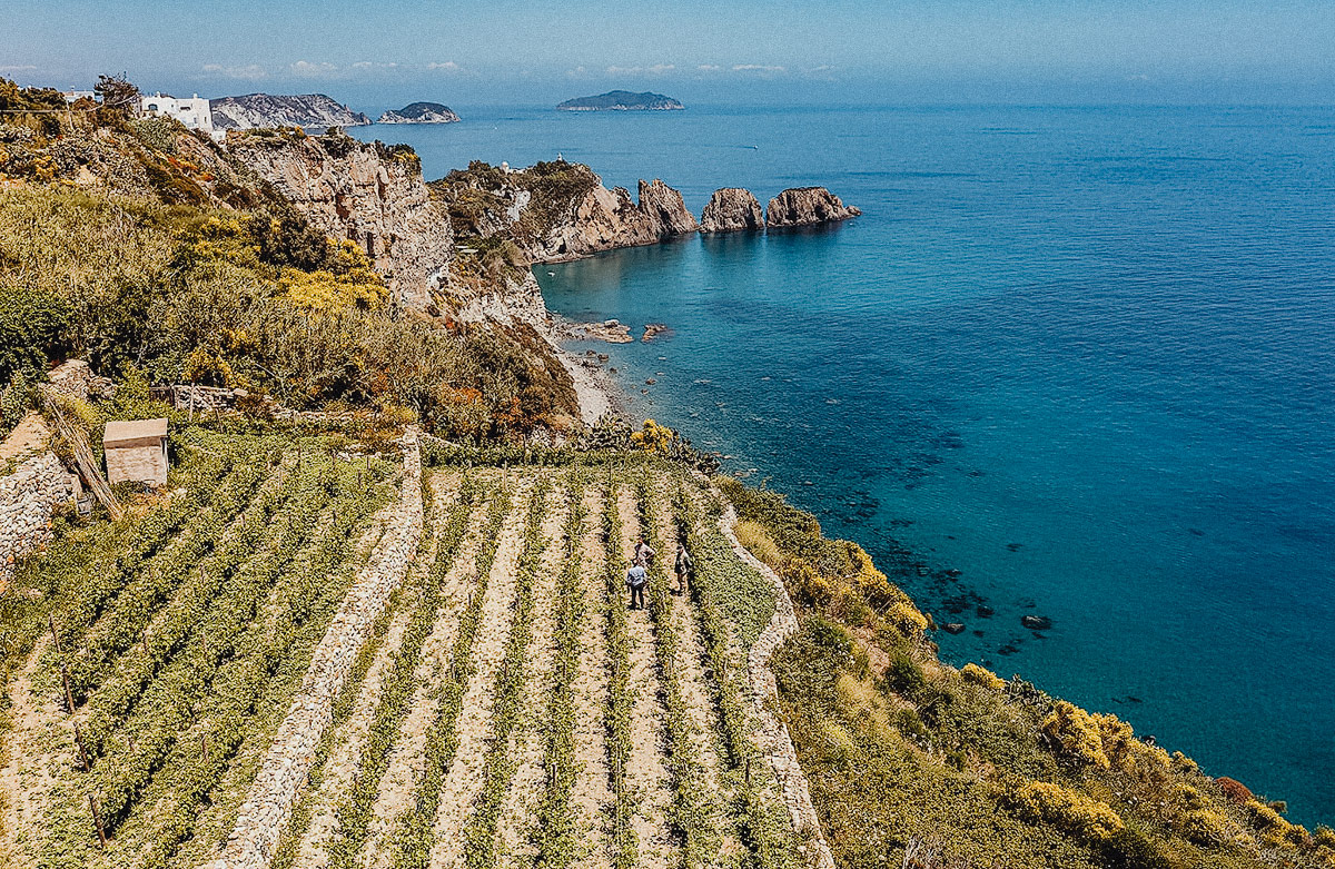 Blog_Casale_del_Giglio_4