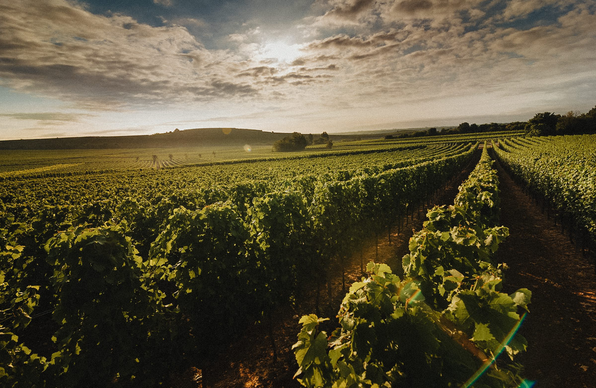 Bilder-Blogartikel-2