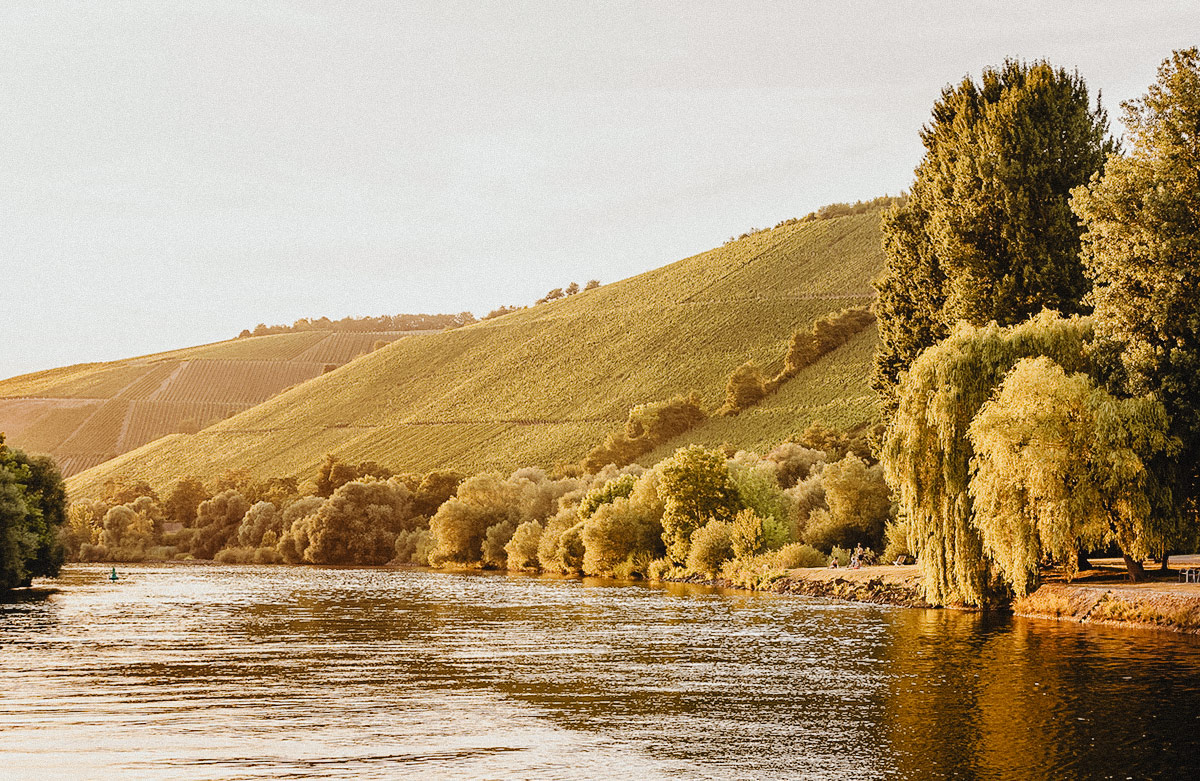 Blog_Schmitts_Kinder_3