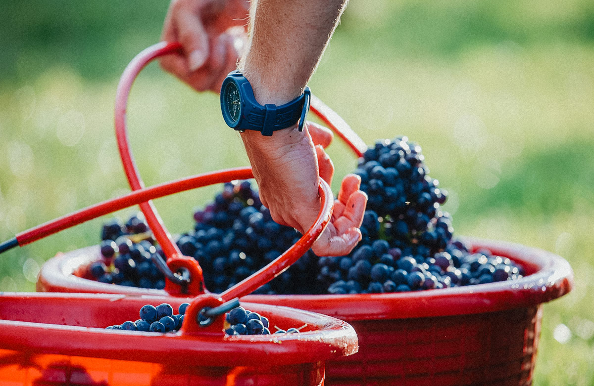 Blog_Masut_da_Rive_1