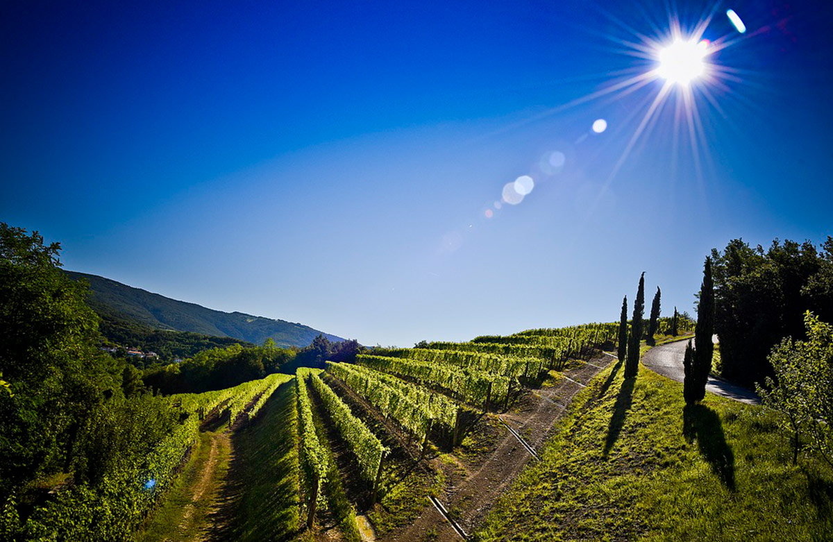 Blog_Venica_Venica_4