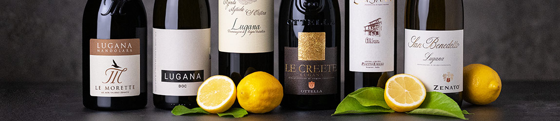 kategorie-weinpakete-header Weinpakete