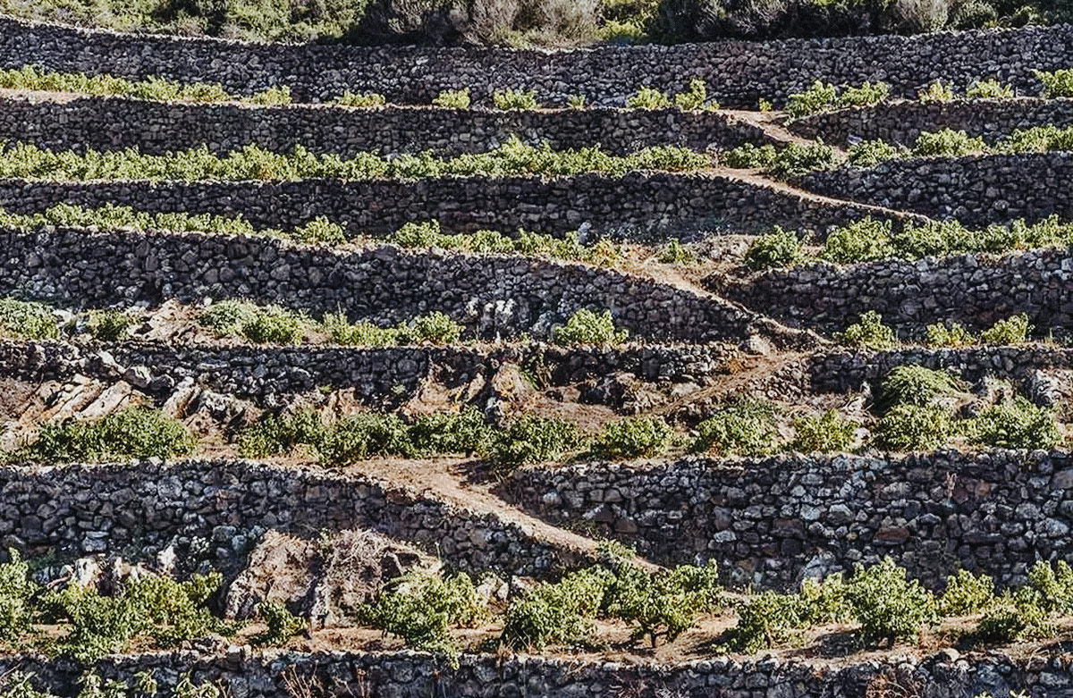 Bilder-Blogartikel-86-4