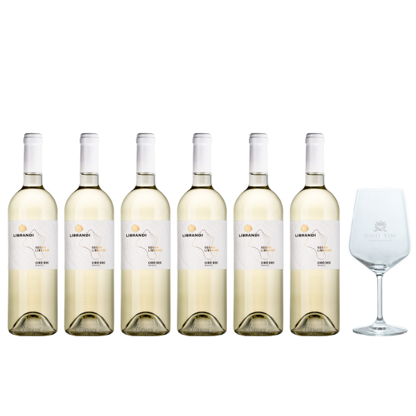 Sparpaket Librandi Cirò Bianco DOC 2022 (6 x 0,75l) mit Spiegelau Senti Vini Weinglas