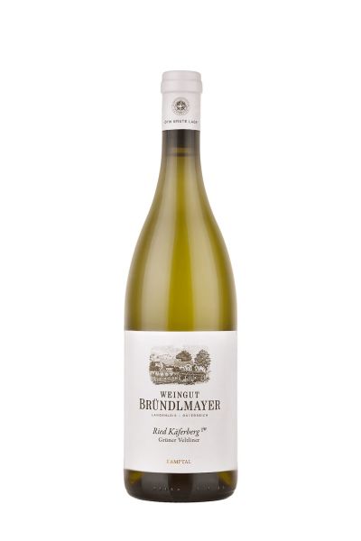 Weingut Bründlmayer Grüner Veltliner Langenloiser Käferberg 2021