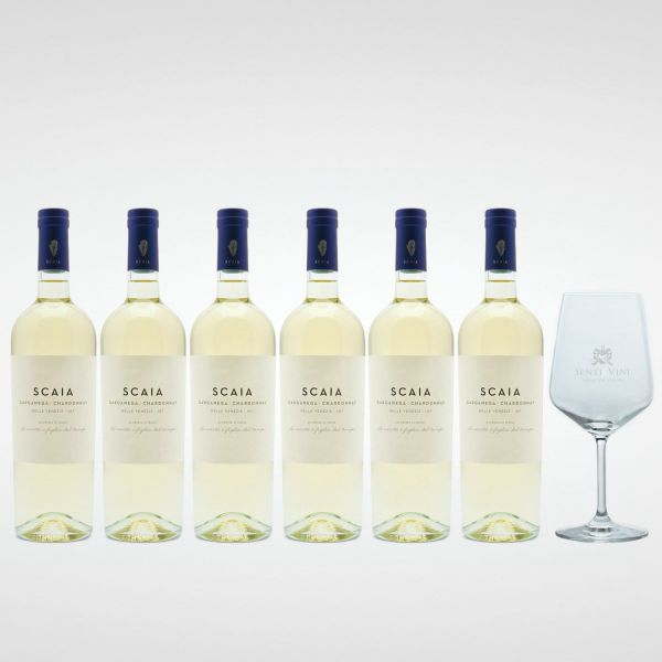 Sparpaket Tenuta Sant Antonio Scaia Bianco Garganega Chardonnay IGT 2021 (6 x 0,75l) mit Spiegelau Senti Vini Weinglas