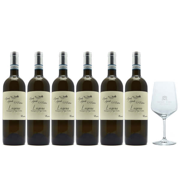 Sparpaket Zenato Santa Cristina Lugana DOC 2022 (6 x 0,75l) mit Spiegelau Senti Vini Weinglas