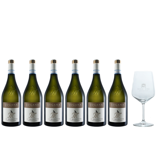 Sparpaket Le Morette Mandolara Lugana DOC 2022 (6 x 0,75l) mit Spiegelau Senti Vini Weinglas