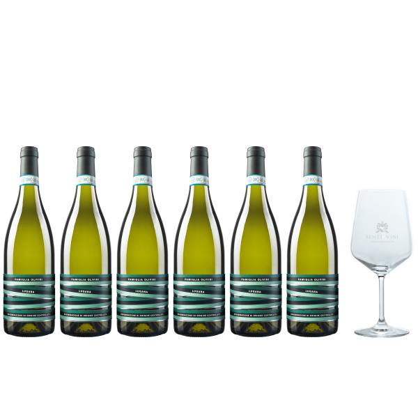 Sparpaket Famiglia Olivini Lugana DOC 2022 (6 x 0,75l) mit Spiegelau Senti Vini Weinglas